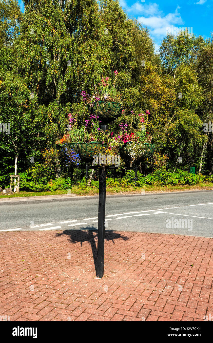 An der Seite der Straße einen stabilen schwarzen Standfuß unterstützt drei Ampeln mit blühenden Blumen vor dem Hintergrund der hohen grünen Bäumen, Stockfoto