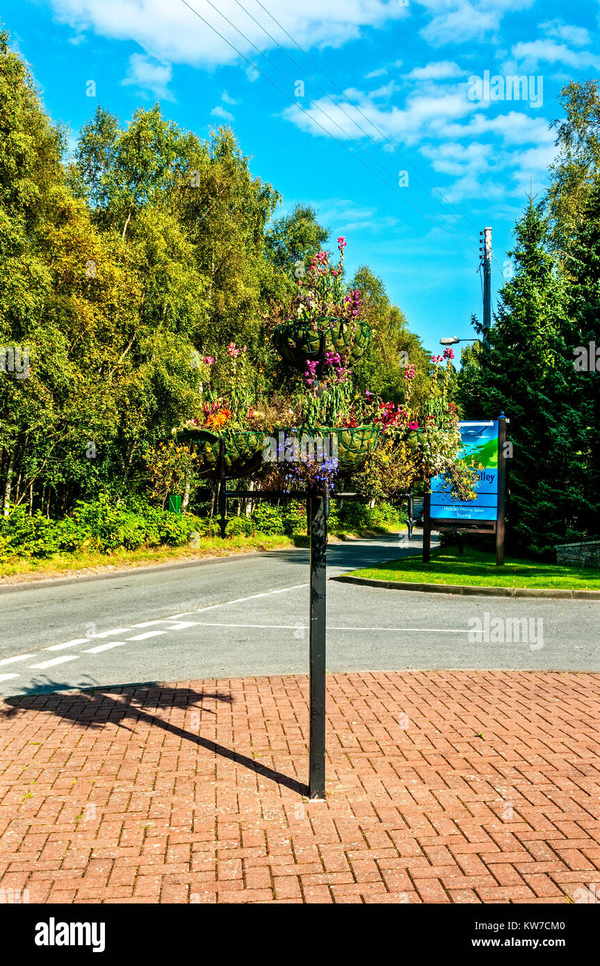 An der Seite der Straße einen stabilen schwarzen Standfuß unterstützt drei Ampeln mit blühenden Blumen vor dem Hintergrund der hohen grünen Bäumen, Stockfoto