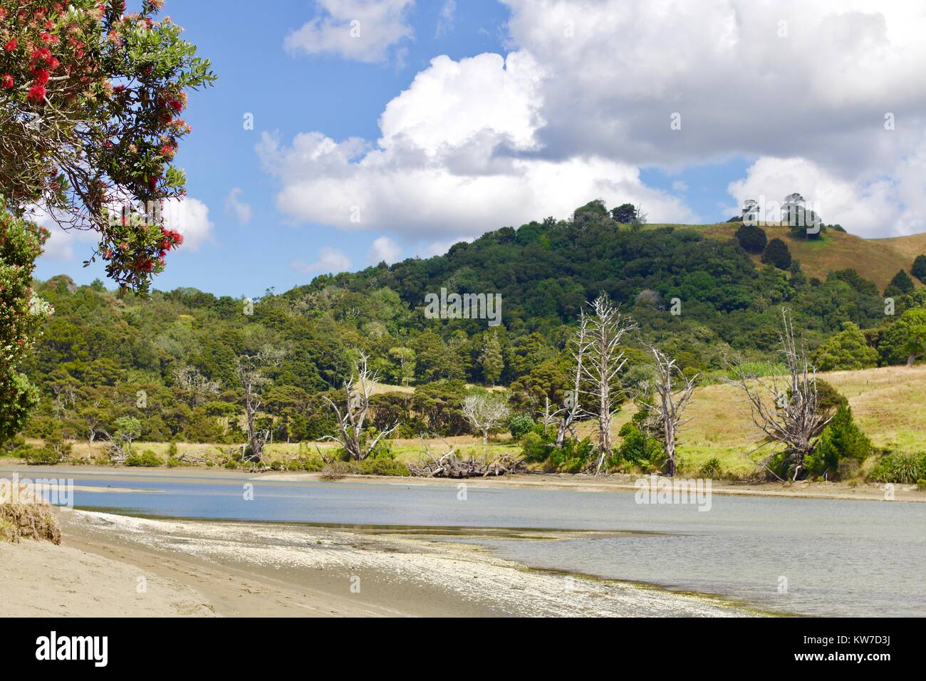 Neuseeland natürliche Küstenansicht Stockfoto