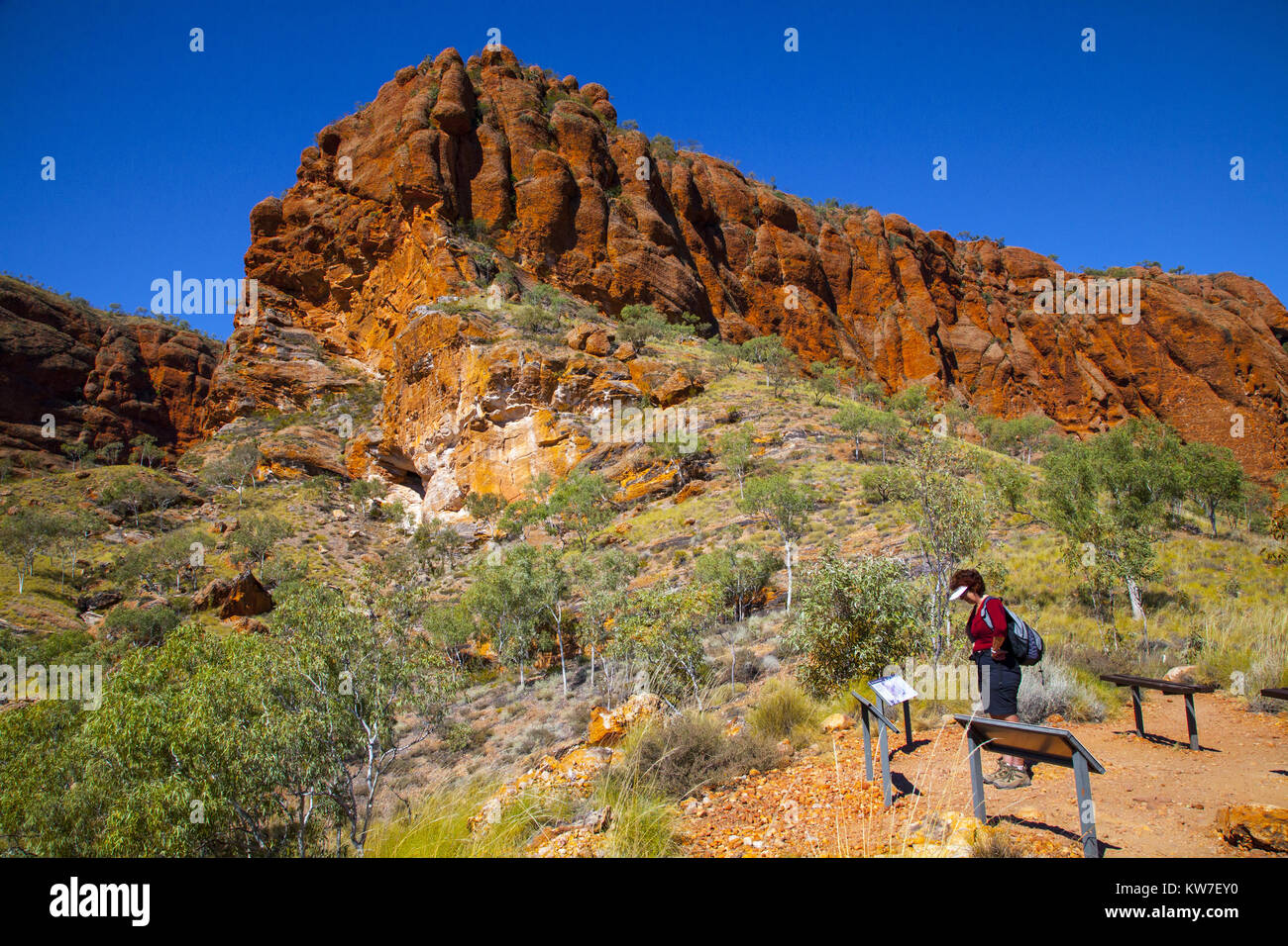 Bungle Bungles, Purnululu National Park, Kimberley, Australien: Die Landschaft des nördlichen Abschnitts der Bungle Bungles. Stockfoto