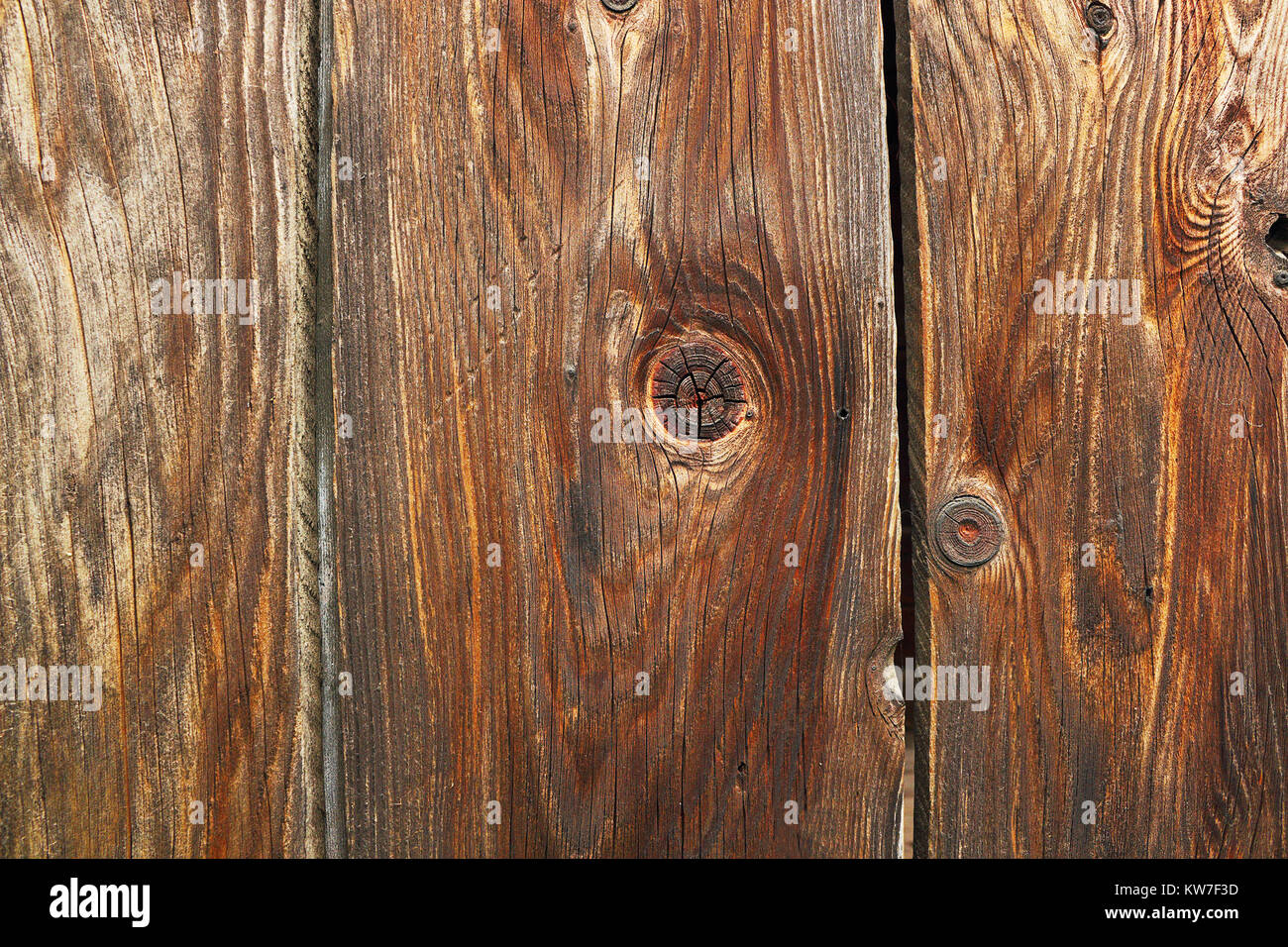 Tanne Holzplanken Textur mit Knoten, Hintergrund bereit für Ihr Design Stockfoto
