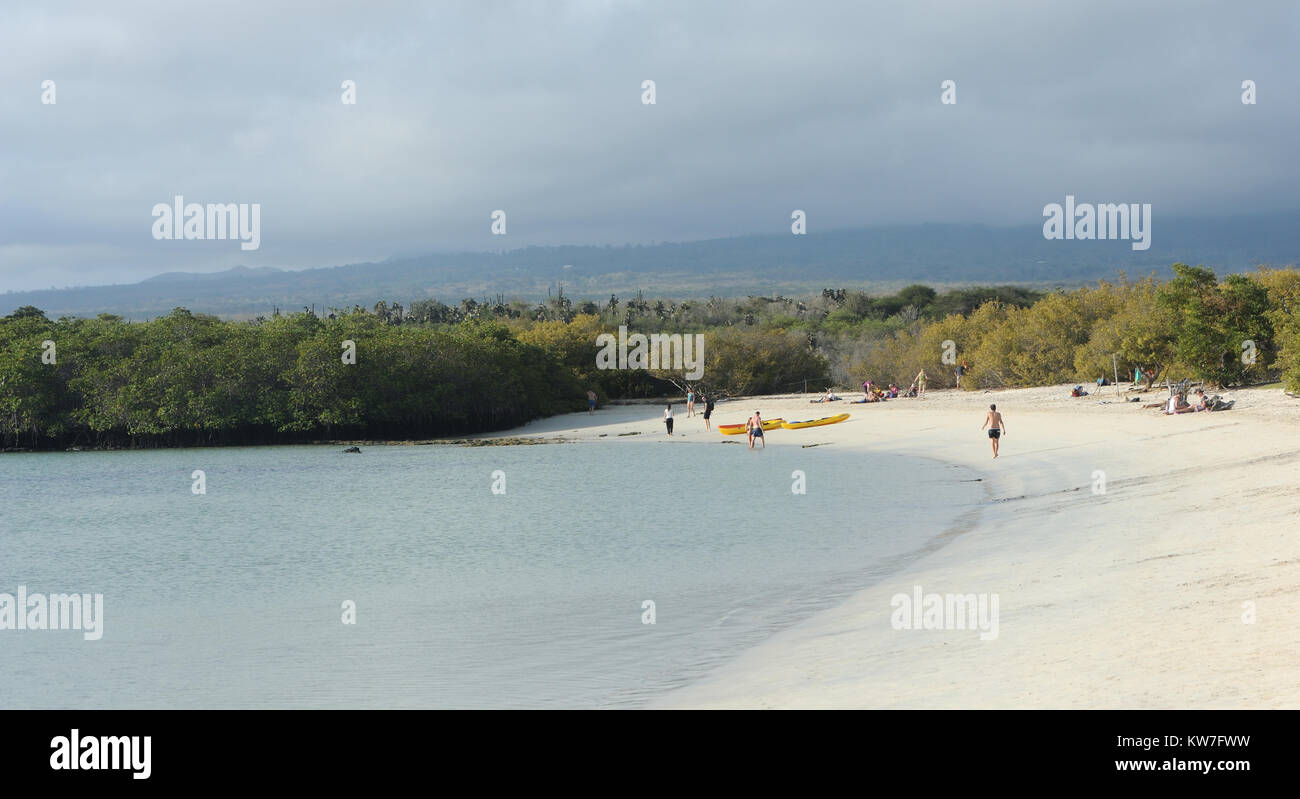 Touristen genießen die White Sands und geschützten Gewässern der Bucht hinter Tortuga Bay. Tortuga Bay. Puerto Ayora, Santa Cruz, Galapagos, Ecuador. Stockfoto