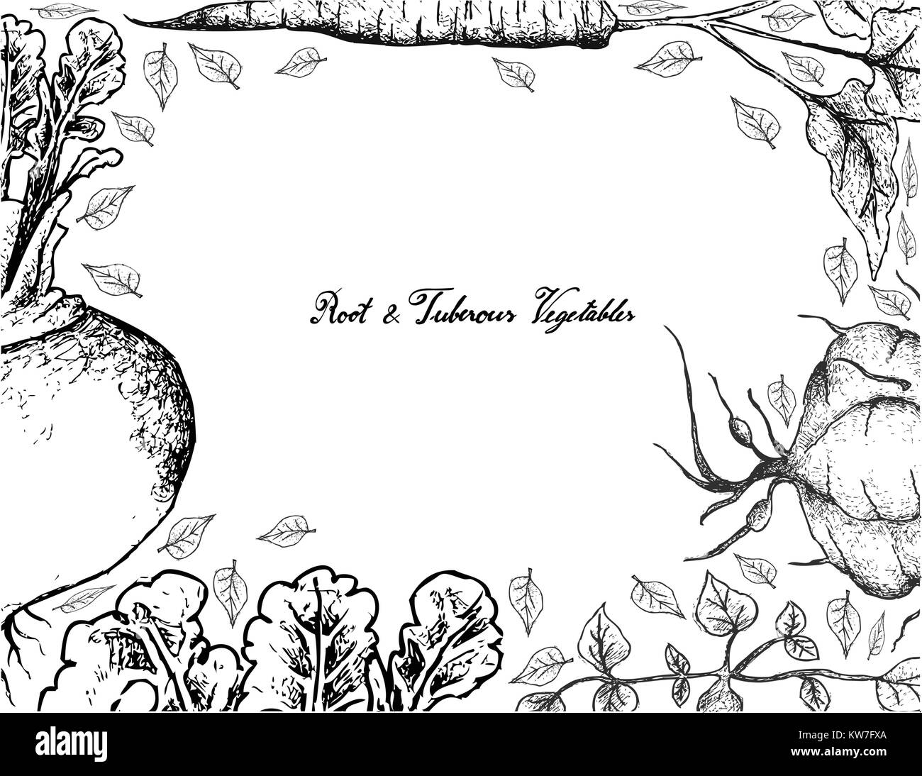 Root und knötchenförmige Gemüse, Illustration von Hand gezeichnete Skizze von frischem Rübe, Klette und Ahipa Pflanzen mit Blättern isoliert auf weißem Backgrou Stock Vektor