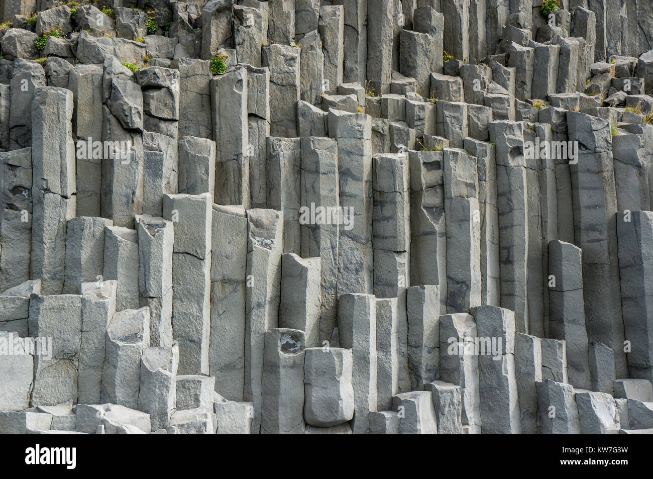 Grau Basaltsäulen in unterschiedlicher Höhe und Stärke und Tiefe, in der Nähe von Vik im Süden Islands. Stockfoto