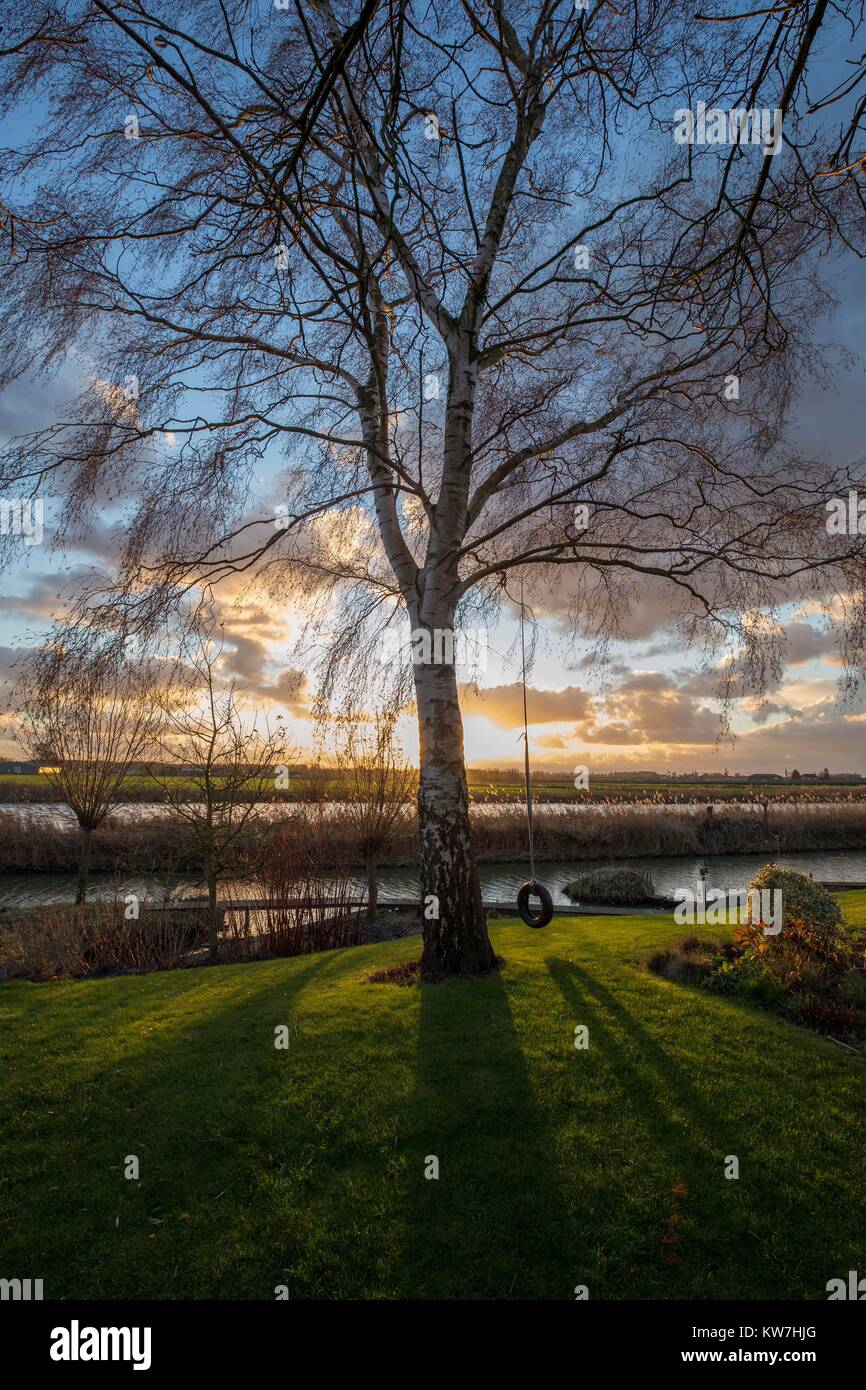 Sonnenuntergang Baum und Reifen Stockfoto