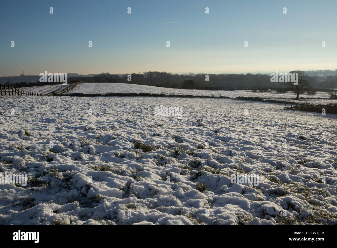 Eine Decke aus Schnee auf den Feldern Rawdon Billing, Nr Leeds, North Yorkshire Stockfoto