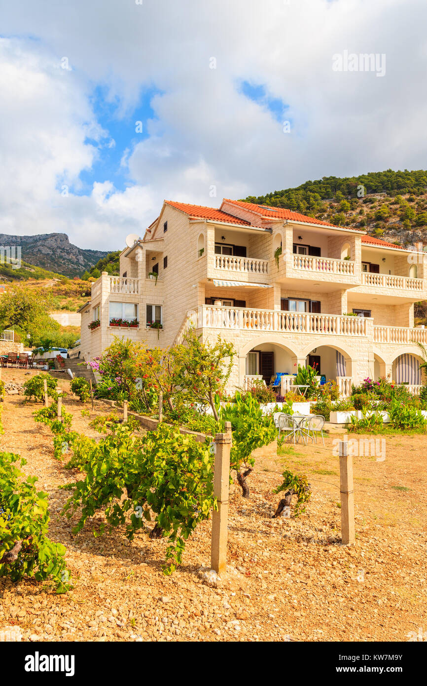 Weinberge und ländliche Haus in Bol, Insel Brac, Kroatien Stockfoto