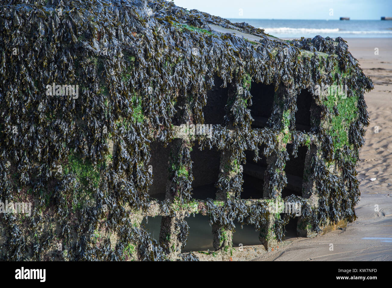 Überreste einer 'Käfer', Struktur, die eine schwimmende Fahrbahn, Teil der Maulbeere Hafen während der alliierten Invasion in der Normandie im Juni gebaut Stockfoto