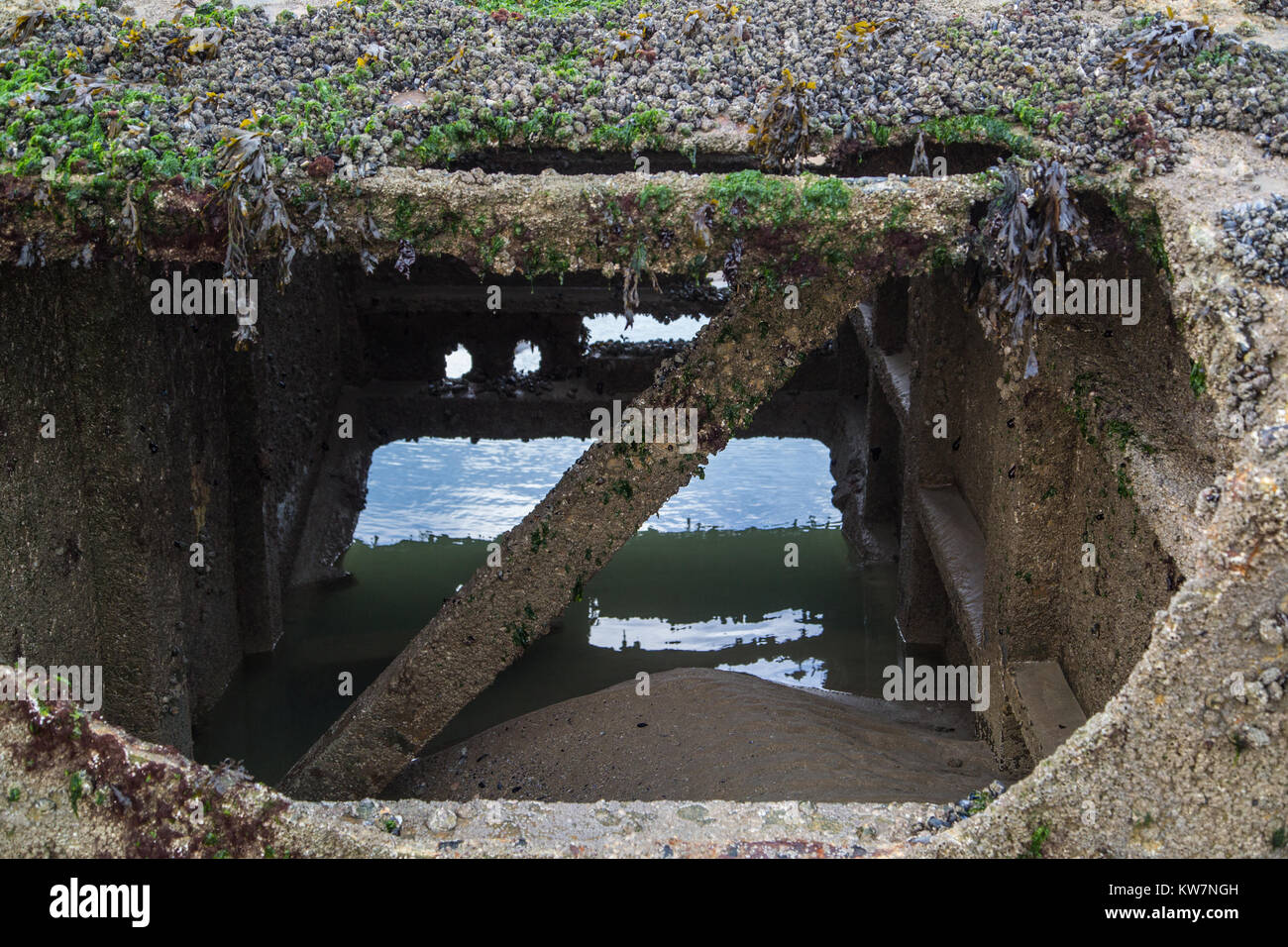 Innenraum der Überreste einer 'Käfer', eine Struktur, die eine schwimmende Fahrbahn, Teil der Maulbeere Hafen während der Invasion der Alliierten gebaut Stockfoto