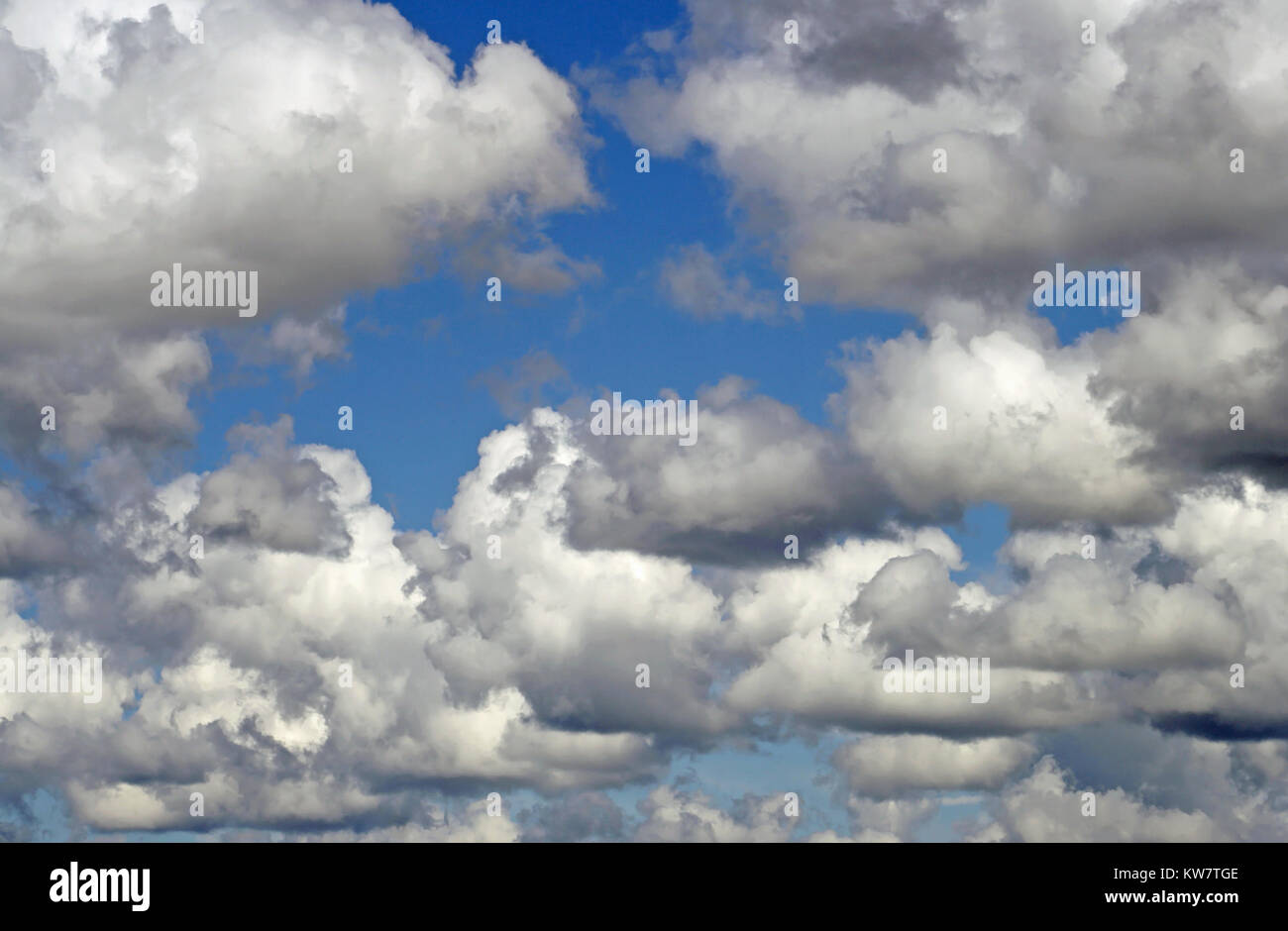 Weißen flauschigen Wolke Layer in einem strahlend blauen Himmel Stockfoto