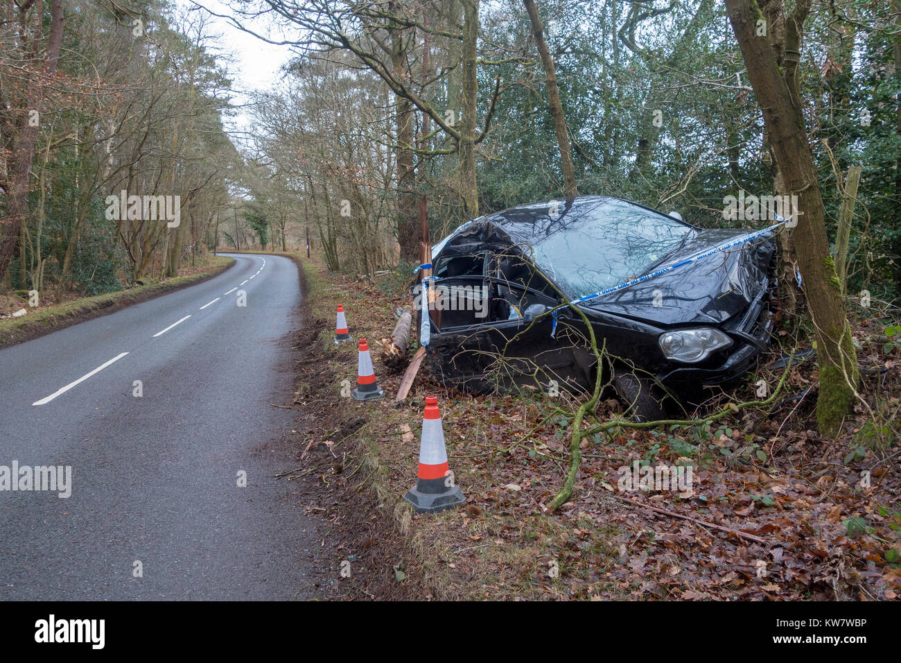 Ein abgestürztes Auto, einem schwarzen Volkswagen Polo, in einem Land Lane von der Polizei Band nach links auf die Straße und in einen Baum umgeben Stockfoto