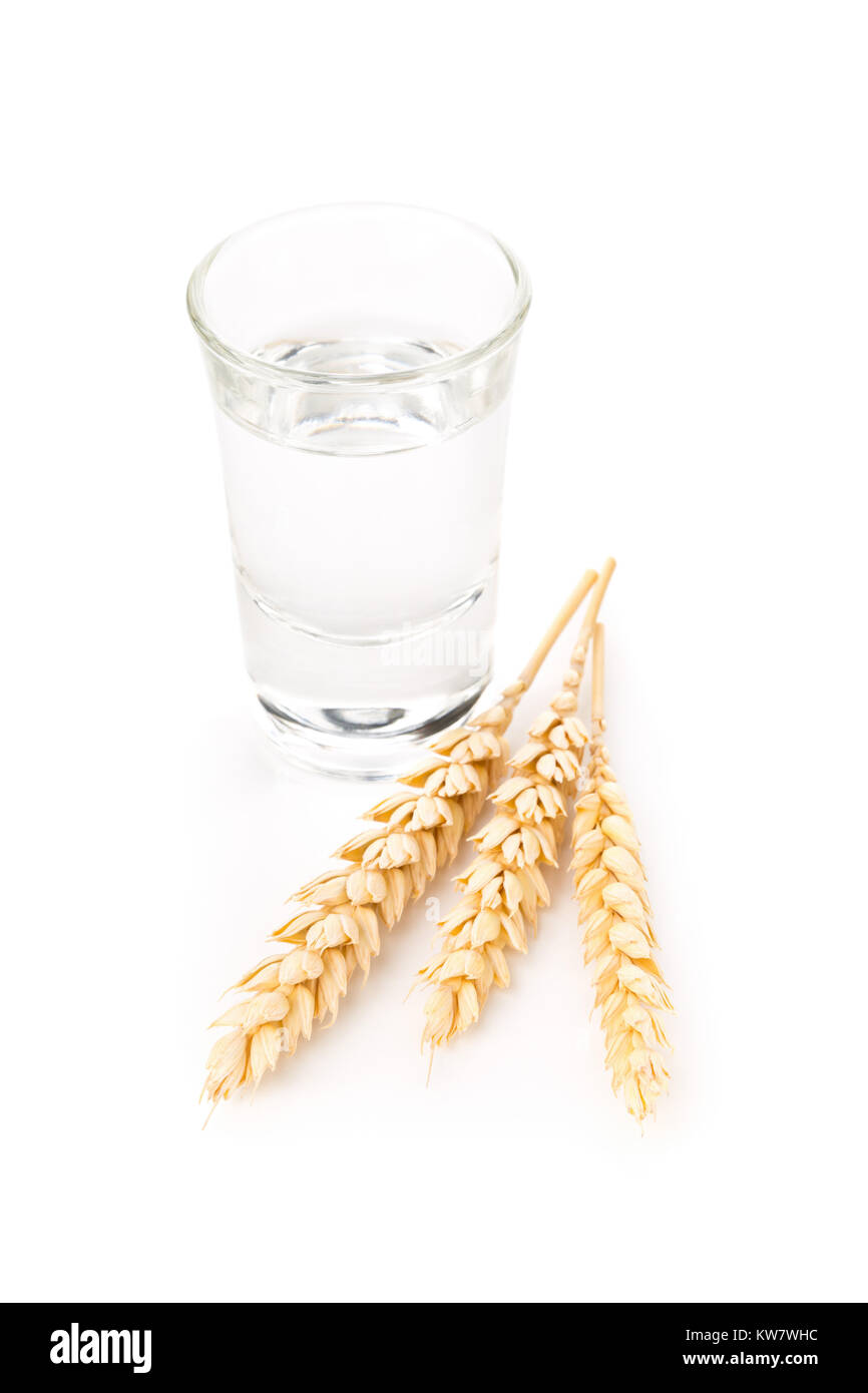 Deutschen Schnaps Korn in Schnaps Schnapsglas mit Weizen Ohren auf weißem  Hintergrund Stockfotografie - Alamy