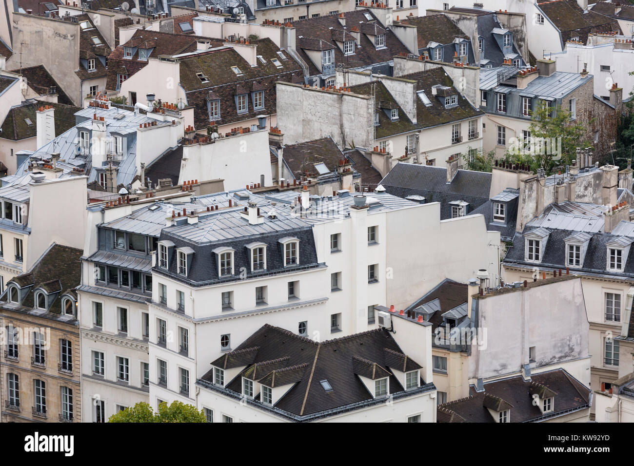 Frankreich, Paris (75), Dächer der Häuser in der 5. Arrondissement Stockfoto