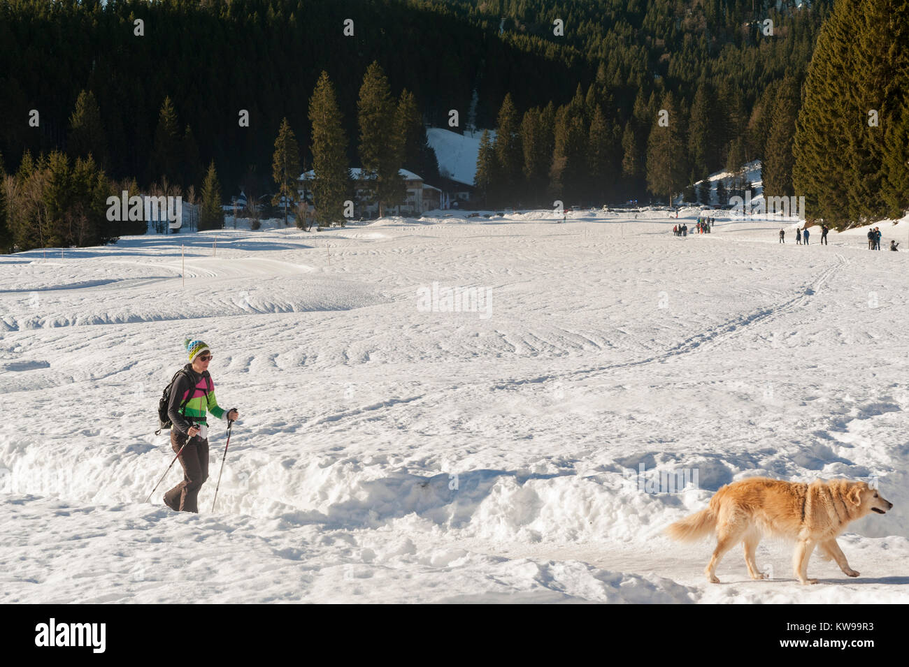 Eine Frau Langlaufen mit ihrem Haustier auf den Spitzingsee See in München. Stockfoto