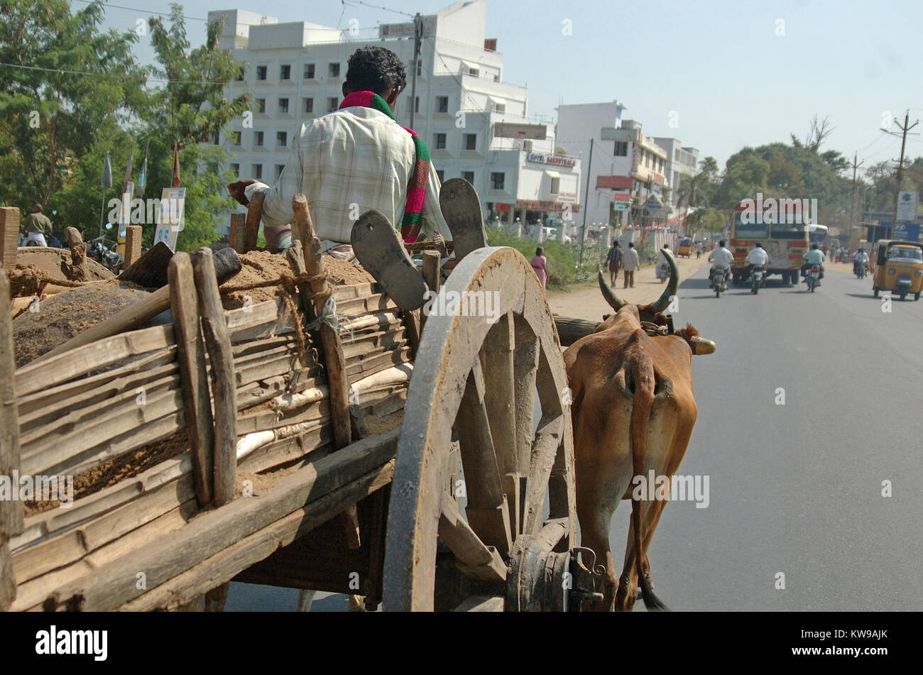 TIRUNELVELI, Tamil Nadu, Indien, ca. 2009: Unbekannter Männer ihren Ochsenkarren fahren, ca. 2009, in Tirunelveli, Tamil Nadu, Südindien Stockfoto