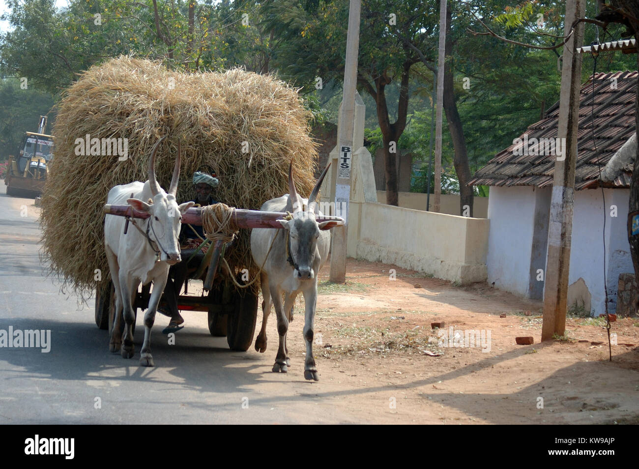 Ochsenkarren in Tamil Nadu, Südindien Stockfoto