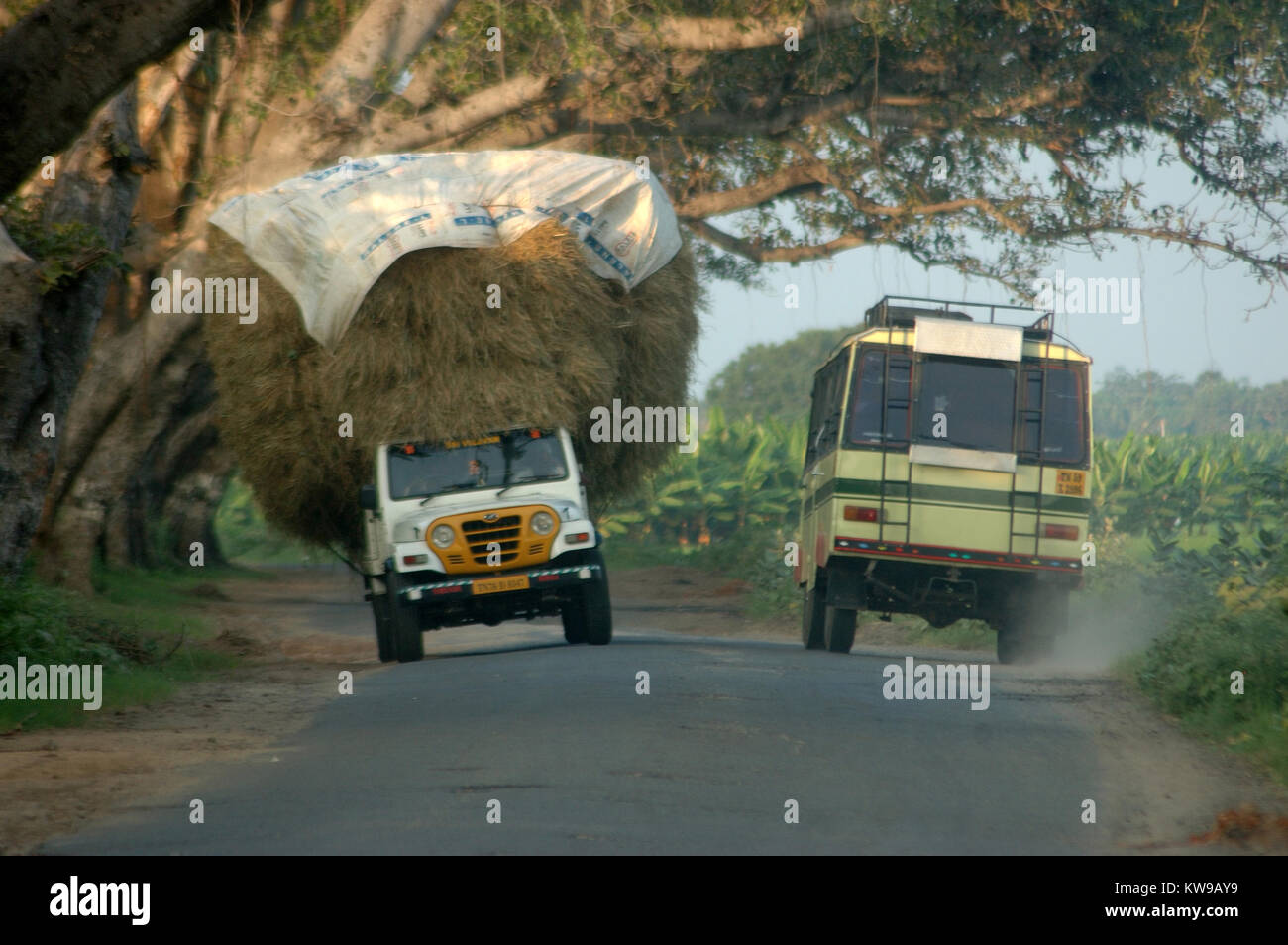 Heu-beladenen Lkw und Bus Kampf um Platz auf der Straße in Tamil Nadu, Südindien Stockfoto