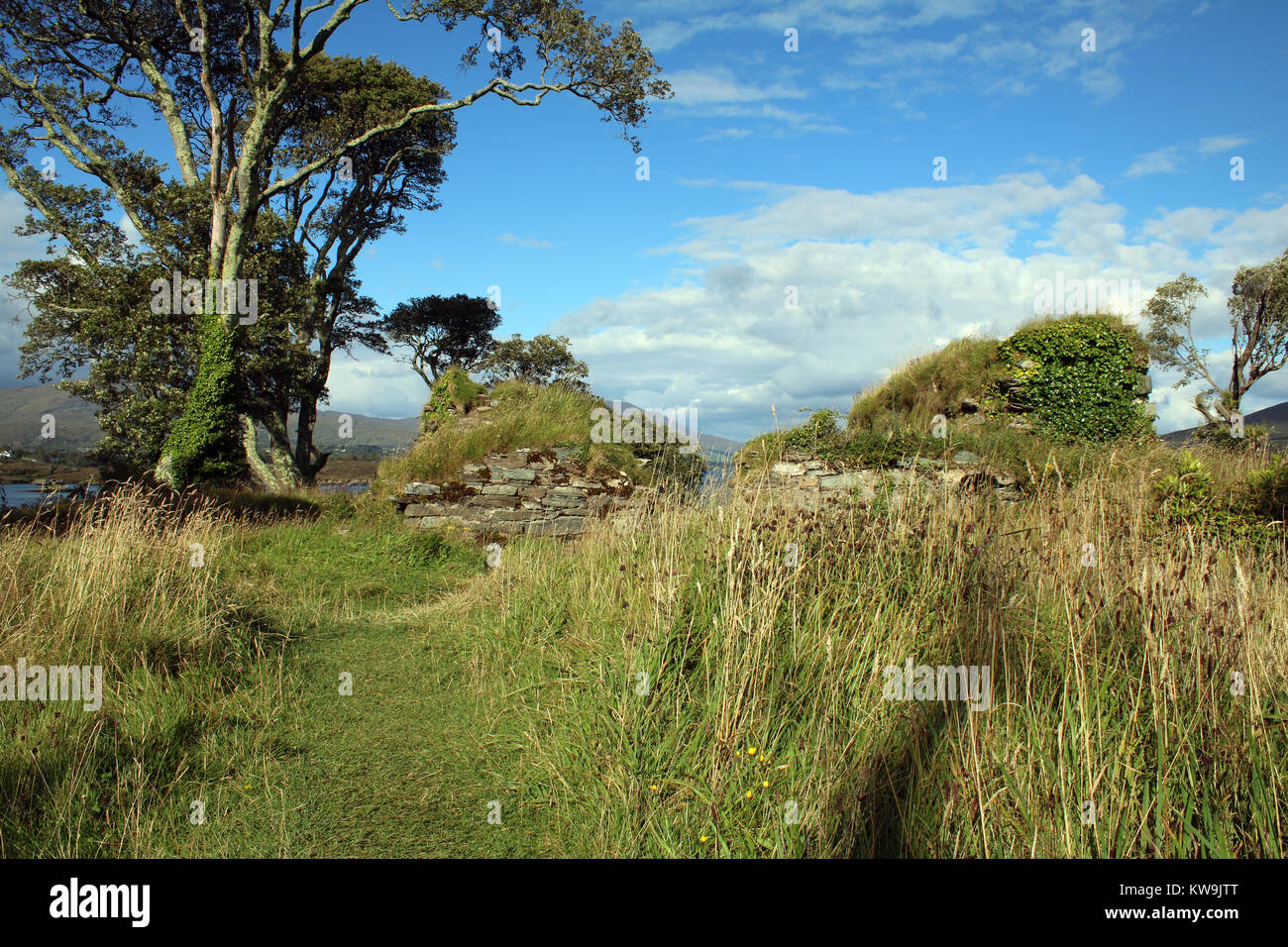 Dunboy Castle Castletownbere West Cork Irland Stockfoto