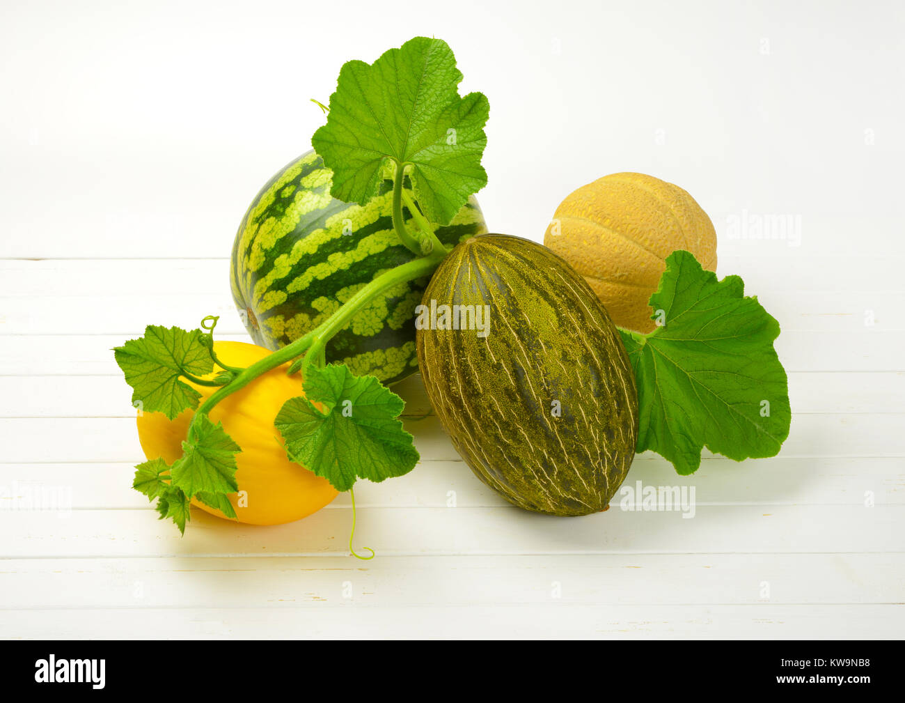 Melone Sorte Melon variety -Fotos und -Bildmaterial in hoher Auflösung – Alamy
