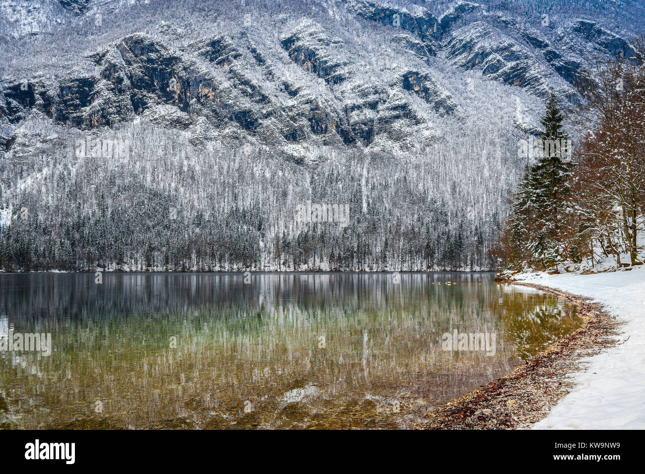 Die herrliche Ruhe des Sees Bohinj (Slowenien), in diesem wunderbaren Bild aufgenommen, perfekt die Vorderseite einer Weihnachtskarte oder Postkarte zu schmücken. Stockfoto