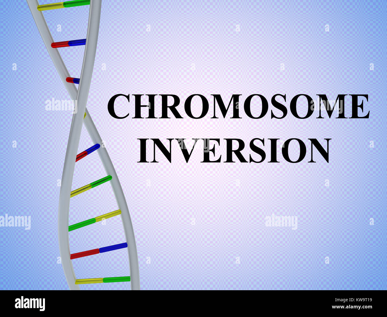 3D-Darstellung von Chromosom INVERSION script mit DNA-Doppelhelix, auf ...
