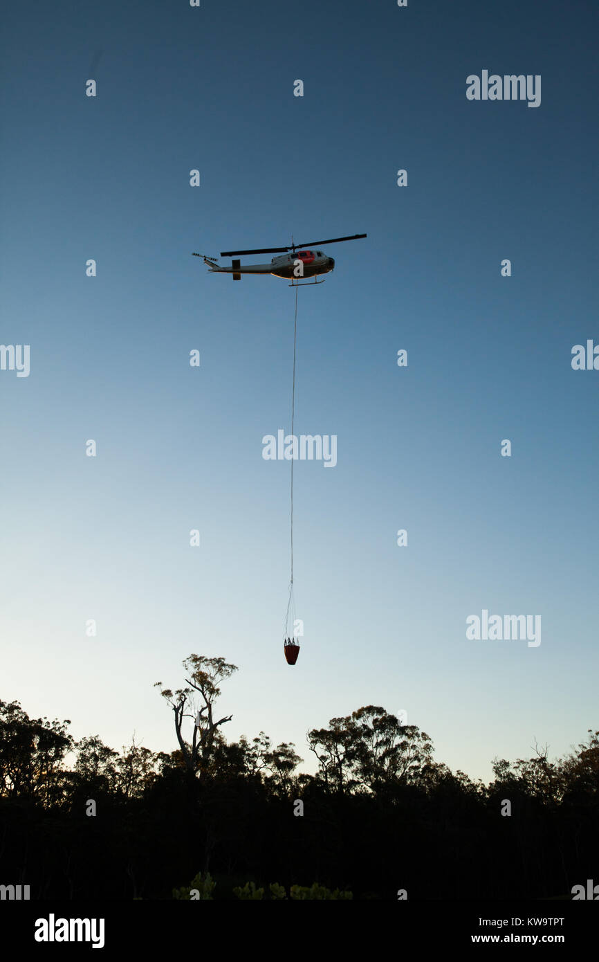 Hubschrauber im Himmel während Bush Brand in NSW Australien. Wasser Schaufel hängen unten Hubschrauber, oberhalb der Baumgrenze Stockfoto