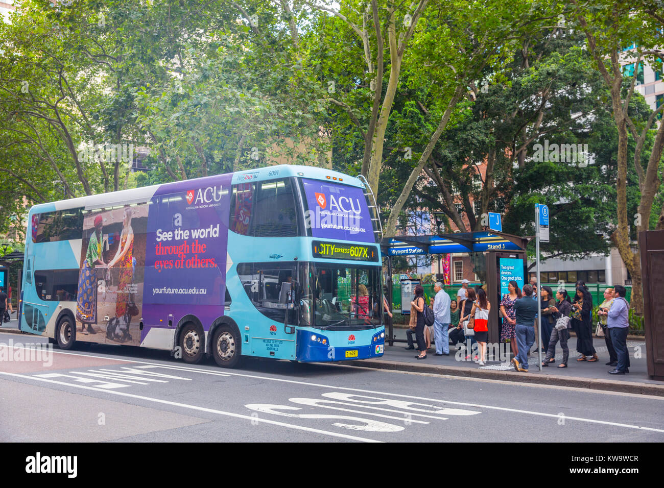 Doppel Bushaltestellen in der York Street an der Wynyard Bushaltestelle in die Innenstadt von Sydney Decker, Australien Stockfoto