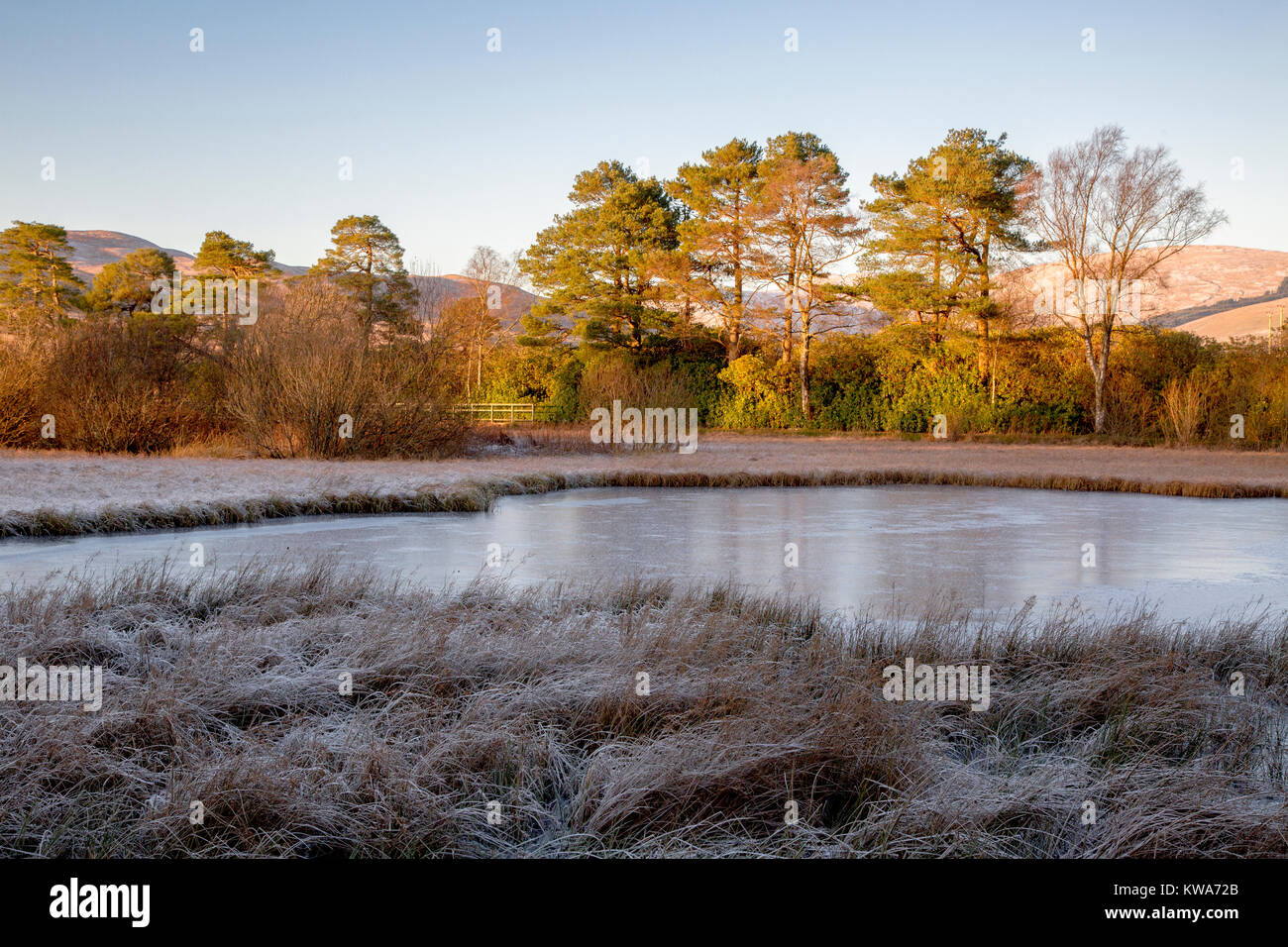 Ice skating pond Fotos und Bildmaterial in hoher Auflösung Alamy