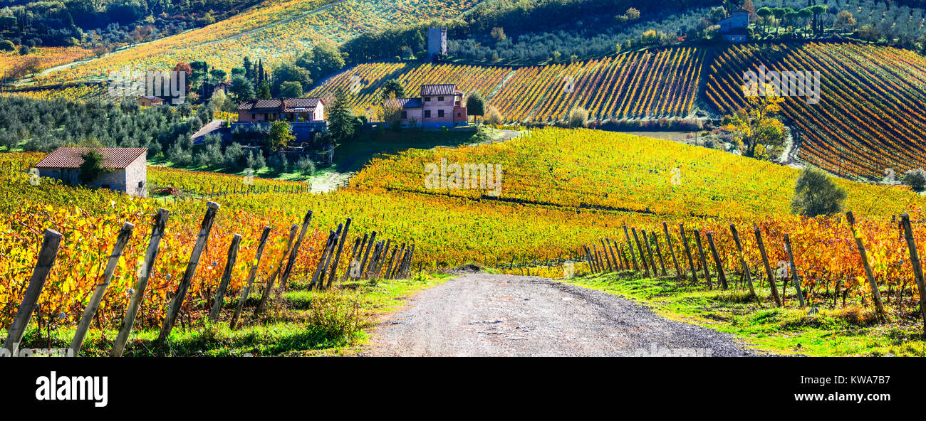 Beeindruckende Herbst Landschaft, mit bunten Weinberge, Chianti, Toskana, Italien. Stockfoto