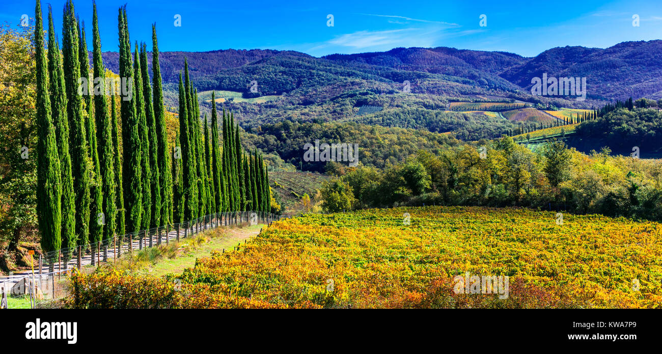 Beeindruckende Herbst Landschaft, mit Zypressen und Weinbergen, Toskana, Italien. Stockfoto