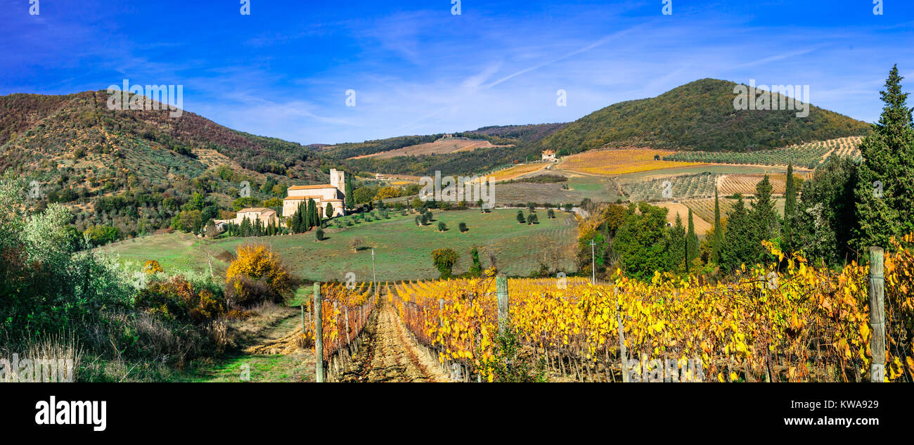 Beeindruckende Sant'Antimo Kloster, Panoramablick mit Weinbergen und Hügeln, Toskana, Italien. Stockfoto