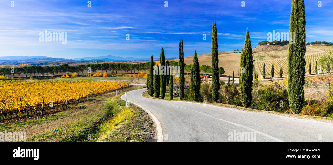 Beeindruckende Herbst Landschaft, mit Weinbergen und Zypressen, Toskana, Italien. Stockfoto