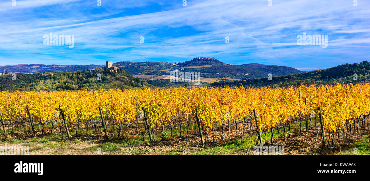 Beeindruckende Herbst Landschaft, mit bunten Weinberge, Toskana, Italien. Stockfoto