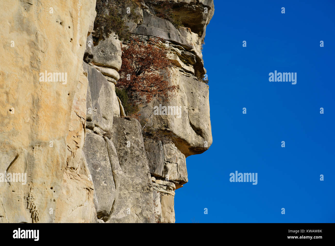 Natürliche Sandsteinfelsen, die wie das Profil eines Mannes aussehen. ANNOT, Alpes de Haute-Provence, Frankreich. Stockfoto