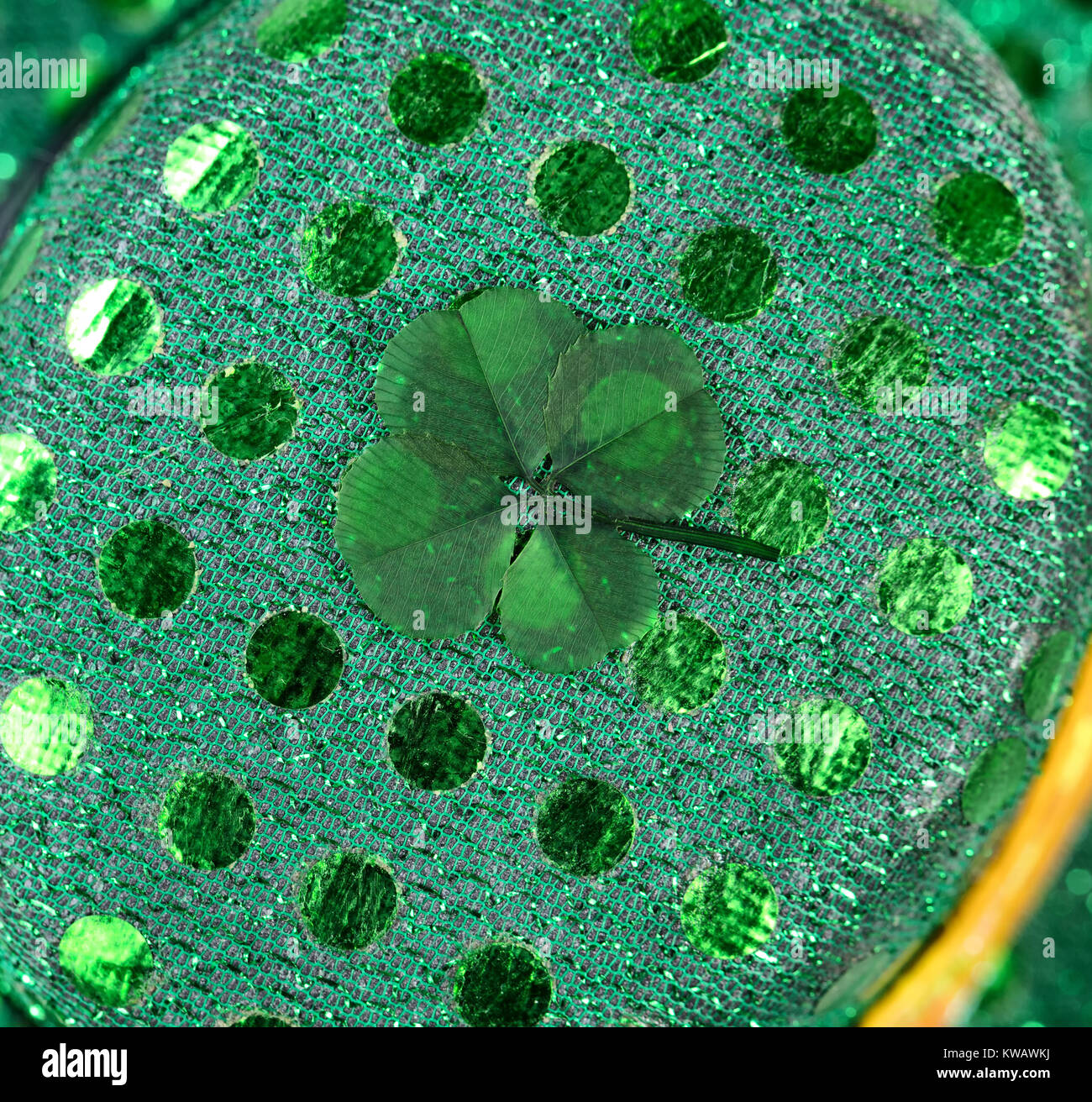 Real Four Leaf Clover mit glänzenden grünen Hintergrund in der Nähe zu sehen. Stockfoto
