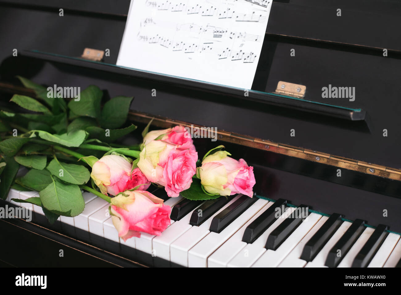 Ein Blumenstrauß aus Rosen und Noten auf der Tastatur. Das Konzept der eine musikalische Ausbildung und Konzerte. Stockfoto