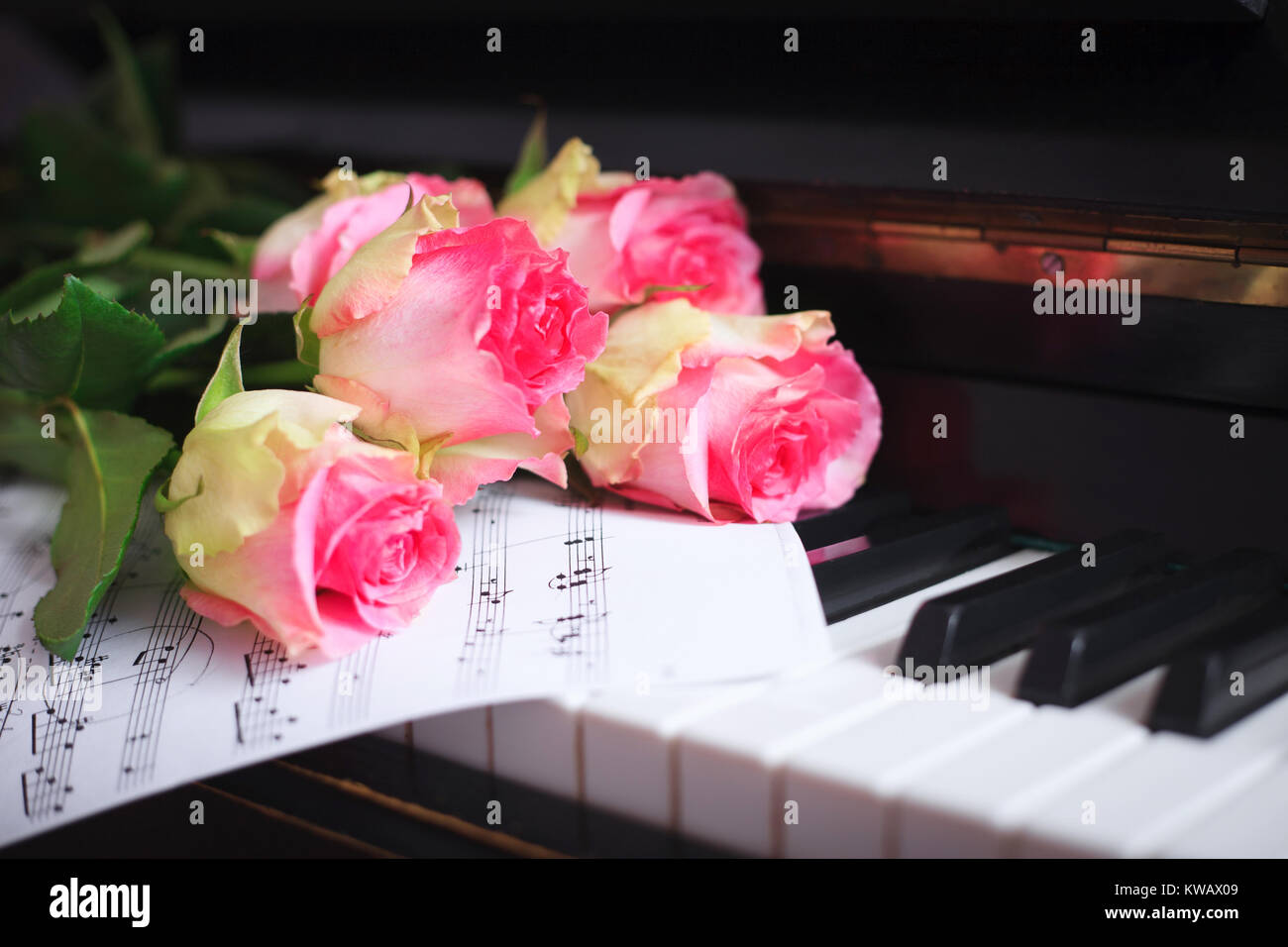 Ein Blumenstrauß aus Rosen und Noten auf der Tastatur. Das Konzept der eine musikalische Ausbildung und Konzerte. Stockfoto