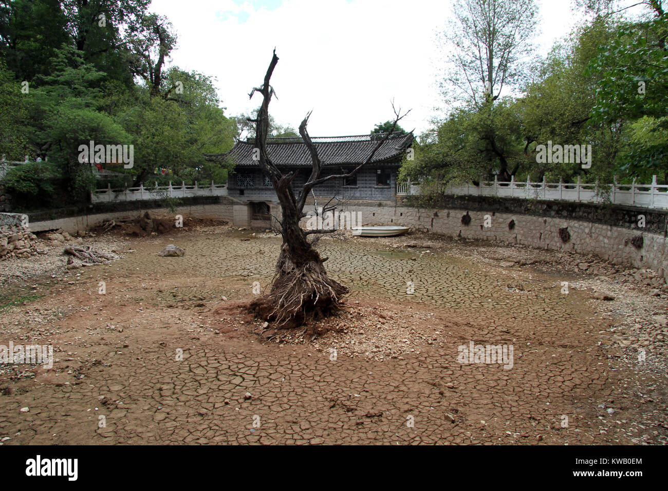 Trockenen Baum und leeren Teich in Black Dragon psark in Lijiang, China Stockfoto