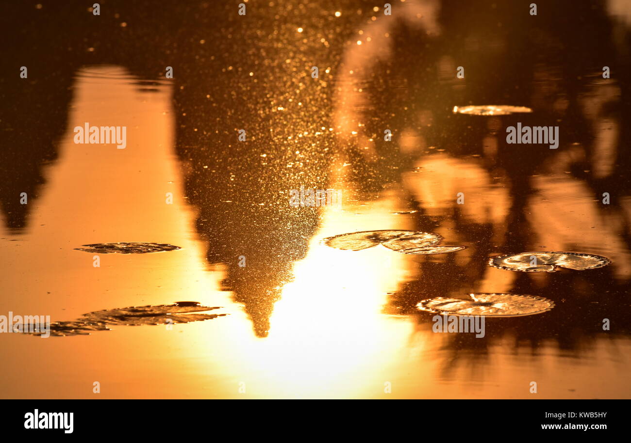 Sonnenaufgang über Angkor Wat antiken Tempel Teich mit Turm Silhouette und Palmen hinter Seerosen, Kambodscha Stockfoto