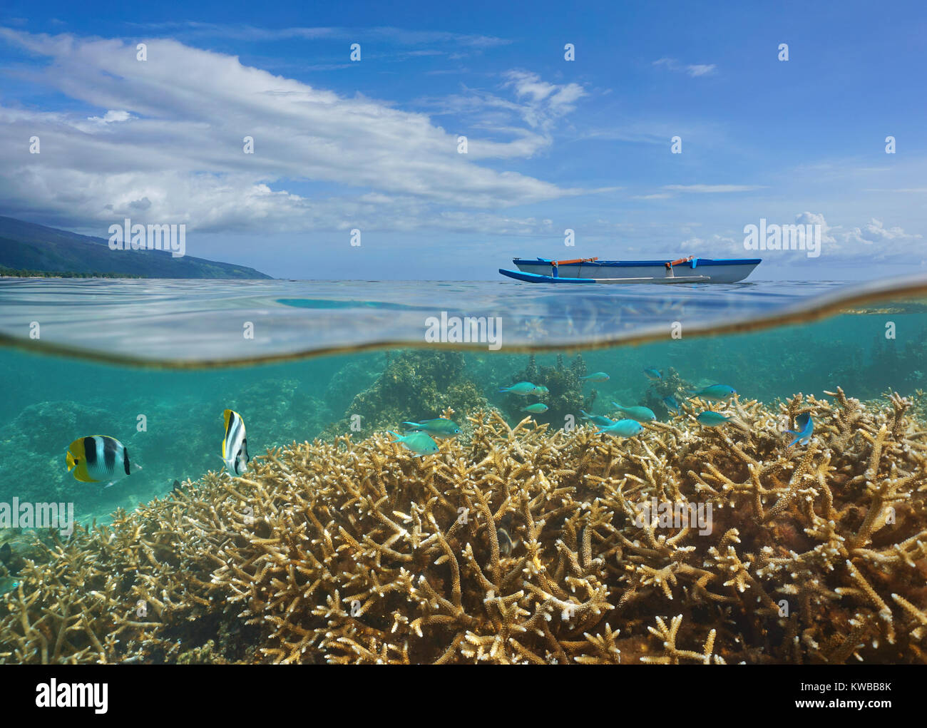 Über und unter der Meeresoberfläche in der Lagune der Insel Tahiti, Korallen und tropische Fische unter Wasser mit einem Outrigger Kanu, Tahiti, Französisch-Polynesien Stockfoto