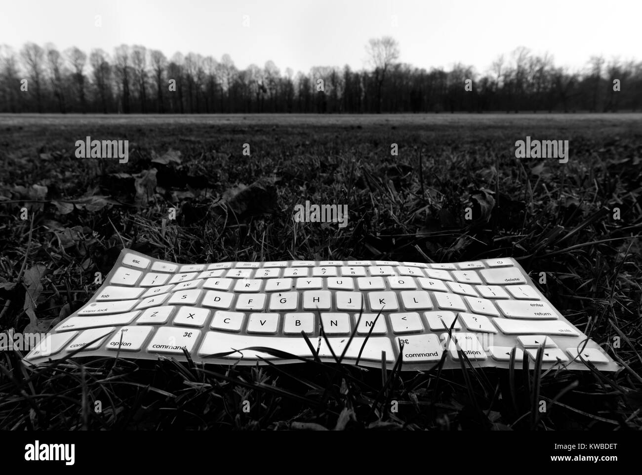 Computer Tastatur liegen auf einem Rasen Stockfoto