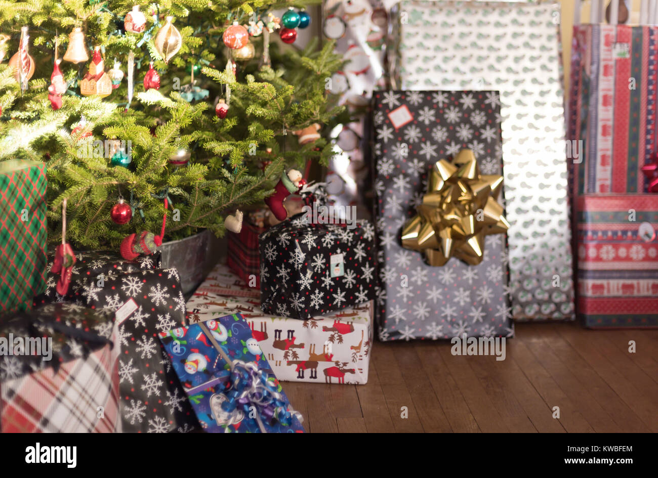 Geschenke eingepackt sitzen unter Bäumen am Weihnachtsmorgen Stockfoto