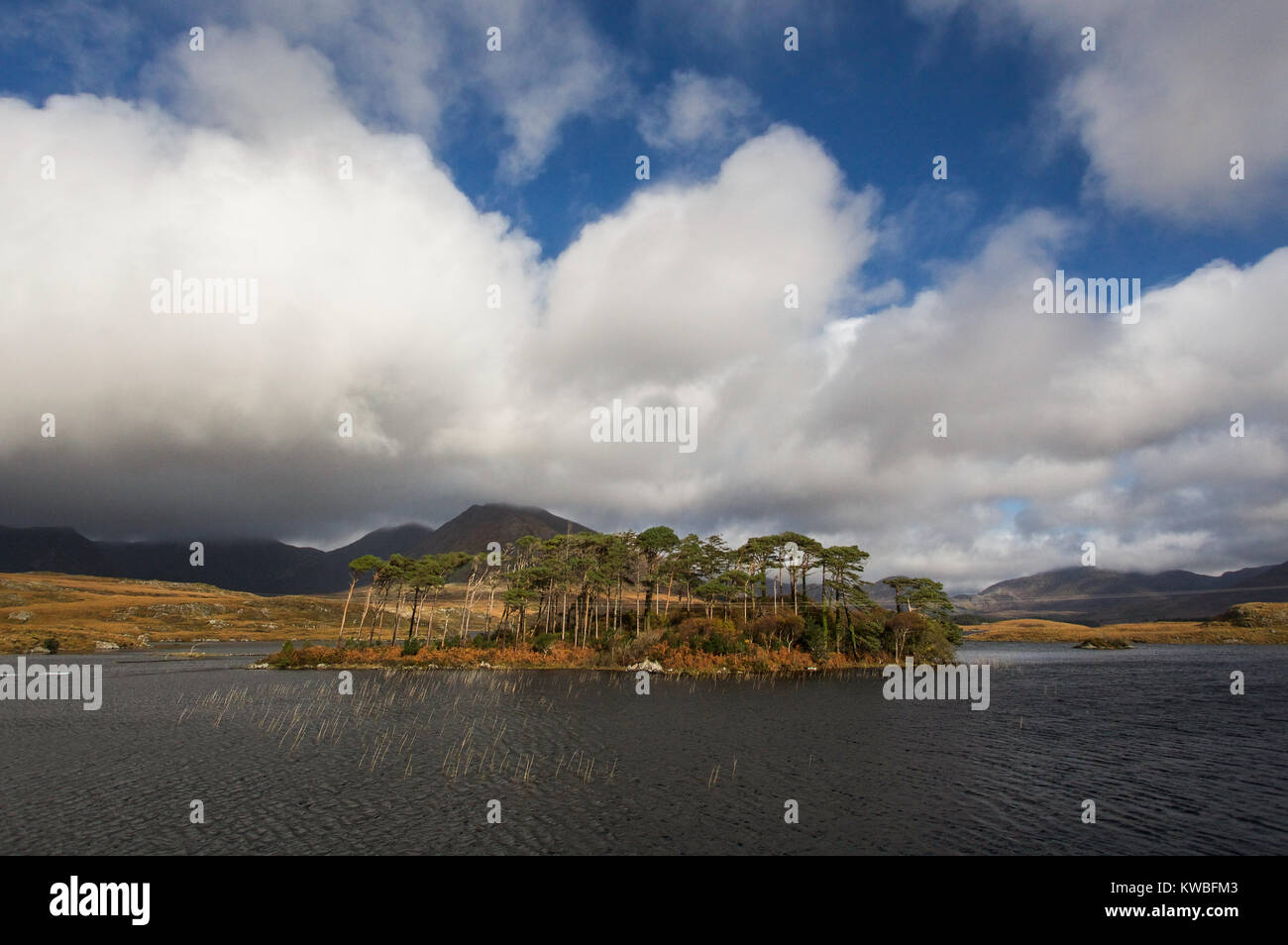 Schöne Pine Island mit Wolken und blauer Himmel im Derryclare Lough, Connemara, Irland umgeben Stockfoto