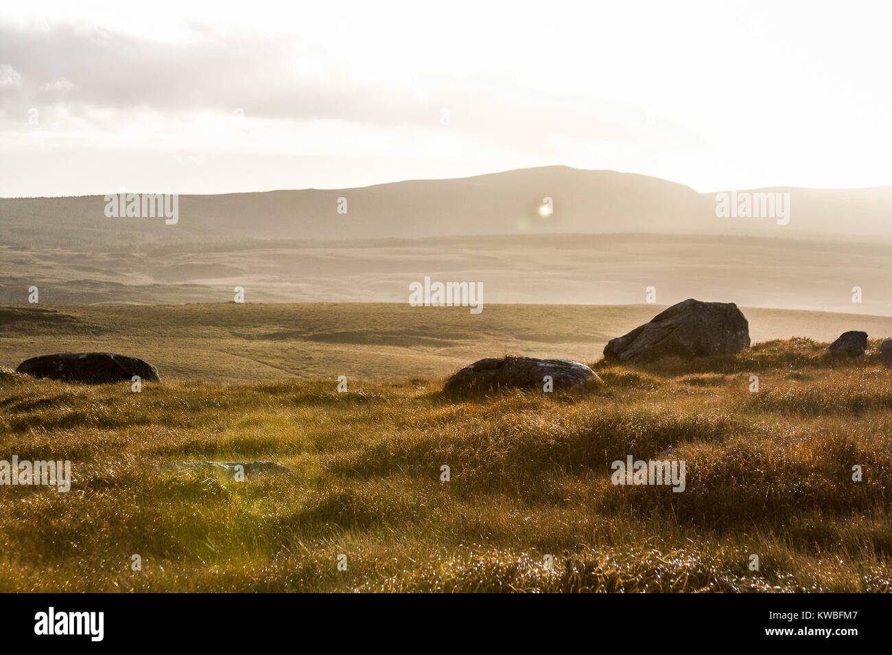 Am frühen Morgen auf dem Top Mountain Hills in Connemara in Irland Stockfoto