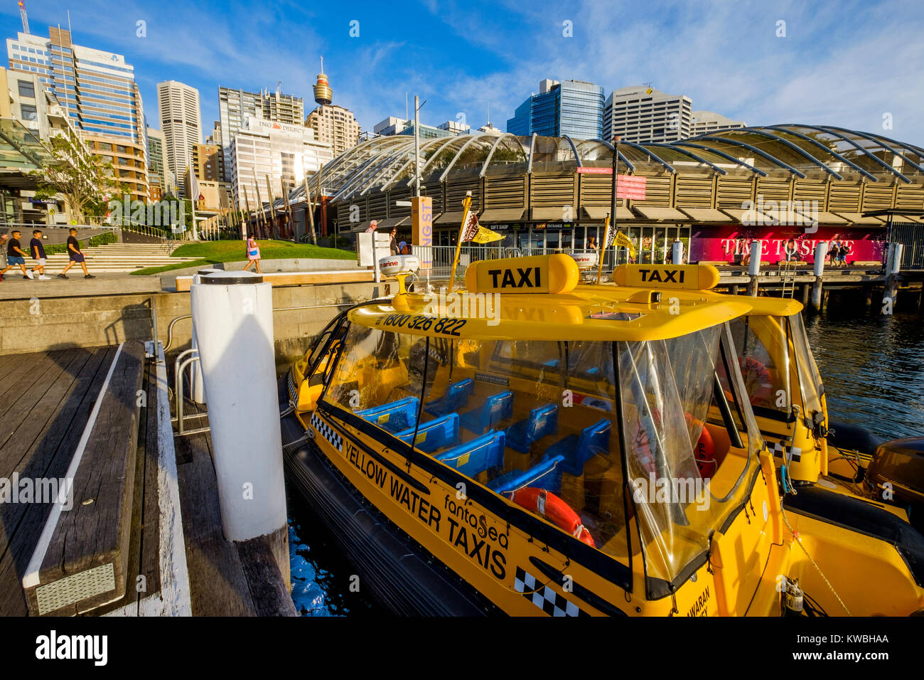 Yellow Water Taxi günstig an der Cockle Bay in Darling Harbour (Hafen), Sydney, Australien Stockfoto