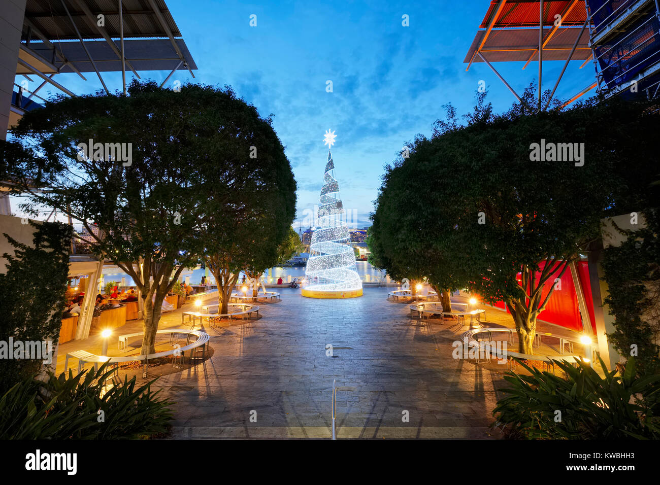 Ein Weihnachtsbaum am King Street Wharf in Darling Harbour, Sydney, Australien in der Nacht Stockfoto