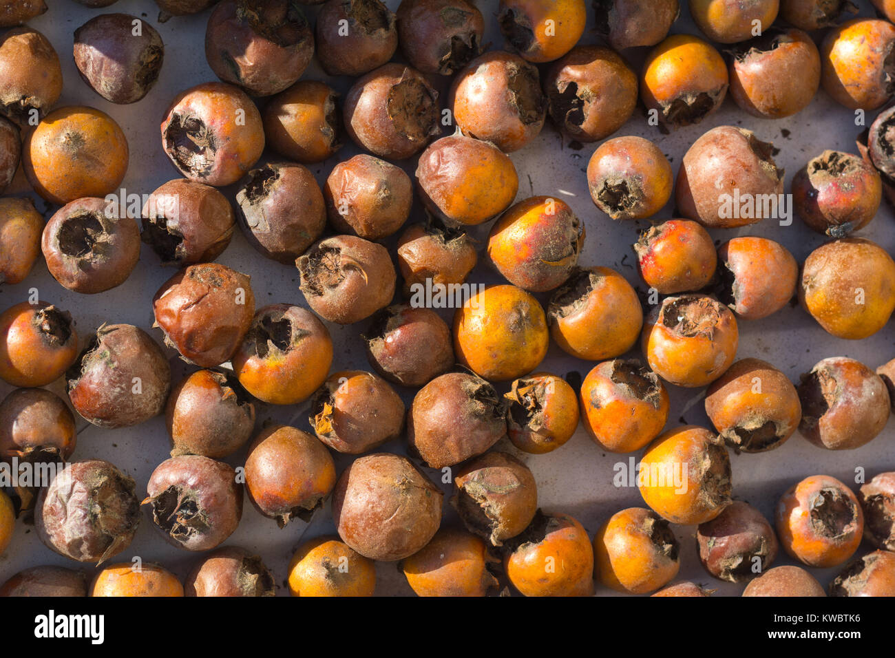 Gesunde mispel Früchte Stockfoto