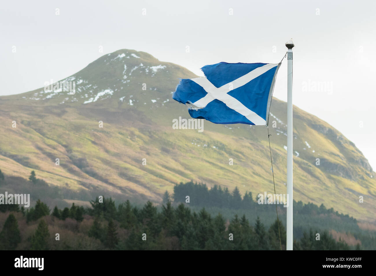 Schottische Flagge tattered und zerrissen weht im Wind Stockfoto