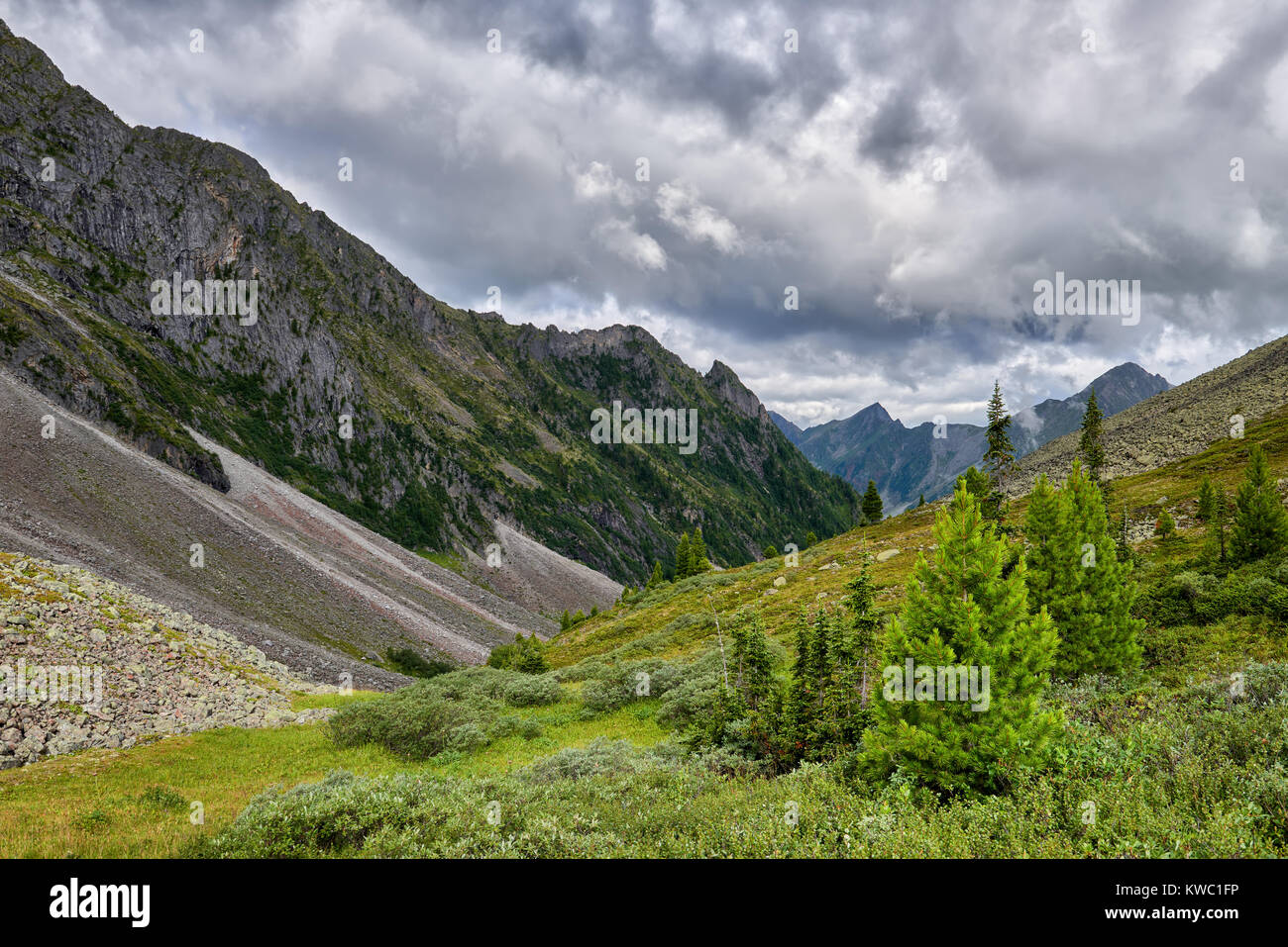 Grüne Hang des Berges tundra Neben Stein Geröll. Kleine einsame Nadelbäume unter Sträuchern. Osten Sayan. Russland Stockfoto