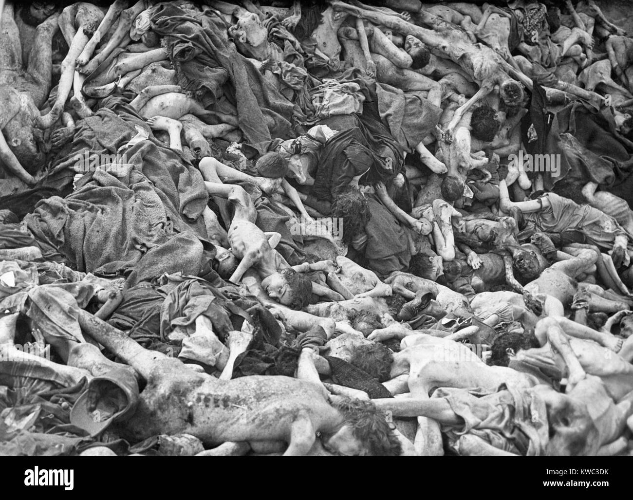 Gemeinsames Grab für die Opfer der Nazideutschen Konzentrationslager Belsen, April 1945. In den Wochen vor der Befreiung, schwächen Häftlinge starben durch die Hunderte täglich von Typhus, Typhus und Ruhr, Weltkrieg 2 (BSLOC 2015 13 6) Stockfoto